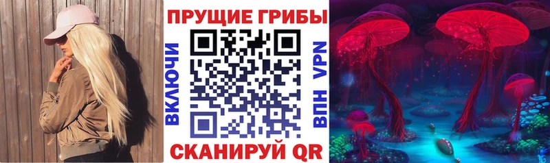 кракен зеркало  Тетюши  Галлюциногенные грибы GOLDEN TEACHER 